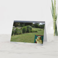 Wo bin ich? #5a-Karte