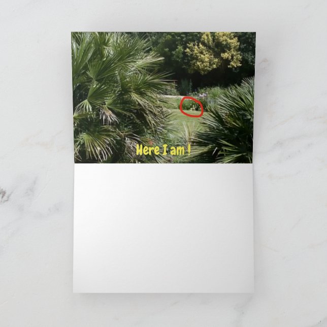 Wo bin ich? #5d Card Karte (Innenseite)