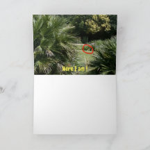 Wo bin ich? #5d Card