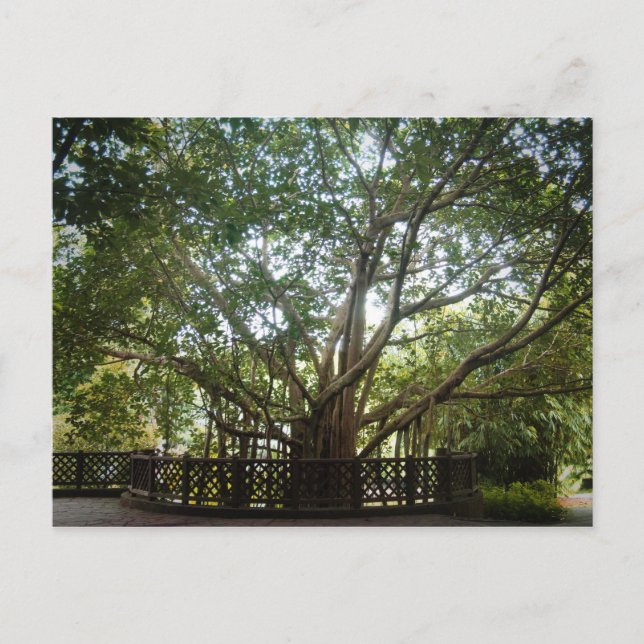 Wo das Leben beginnt Postkarte (Vorderseite)