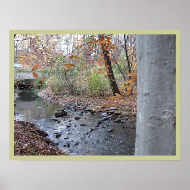 Wo der rote Fern wächst Poster (Vorne)