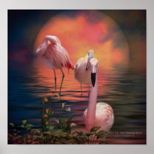 Wo der Wilde Flamingo Poster wachsen lässt/drucken
