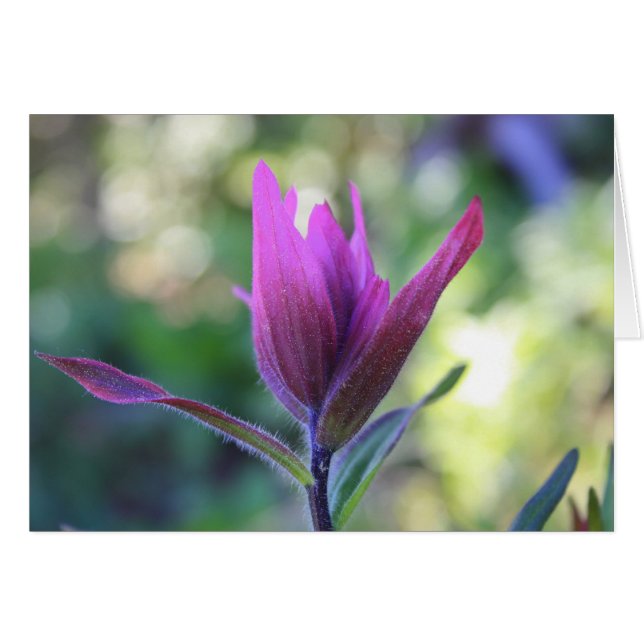 Wo die Liebe wartet (Vorderseite (Horizontal))