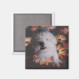 Wo die Liebe wohnt Magnet