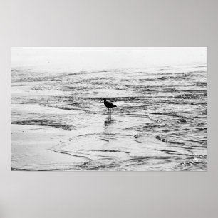 Wo die Waves enden Poster