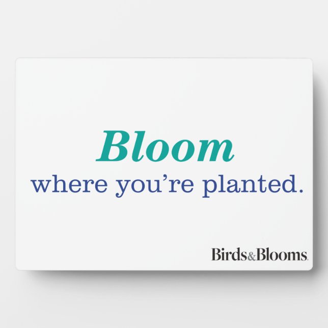 Wo du gepflanzt bist fotoplatte (Vorderseite)