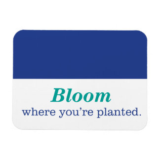 Wo du gepflanzt bist magnet