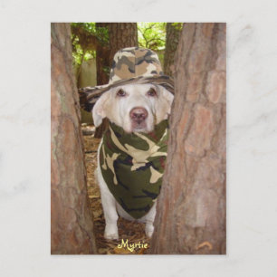 Wo hast du dich in letzter Zeit versteckt? Postkarte