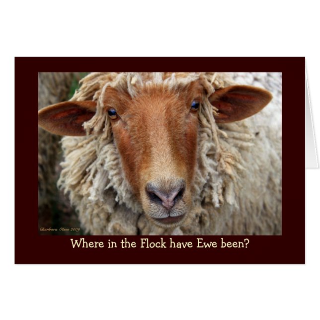 Wo in der Flock war Ewe? (Vorderseite (Horizontal))