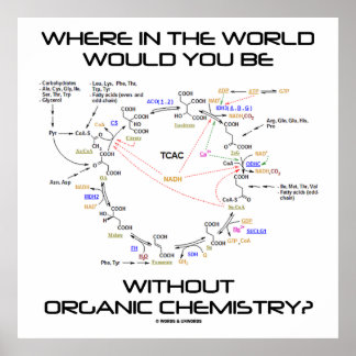 Wo in der Welt Sie ohne Bio Chemie? Poster