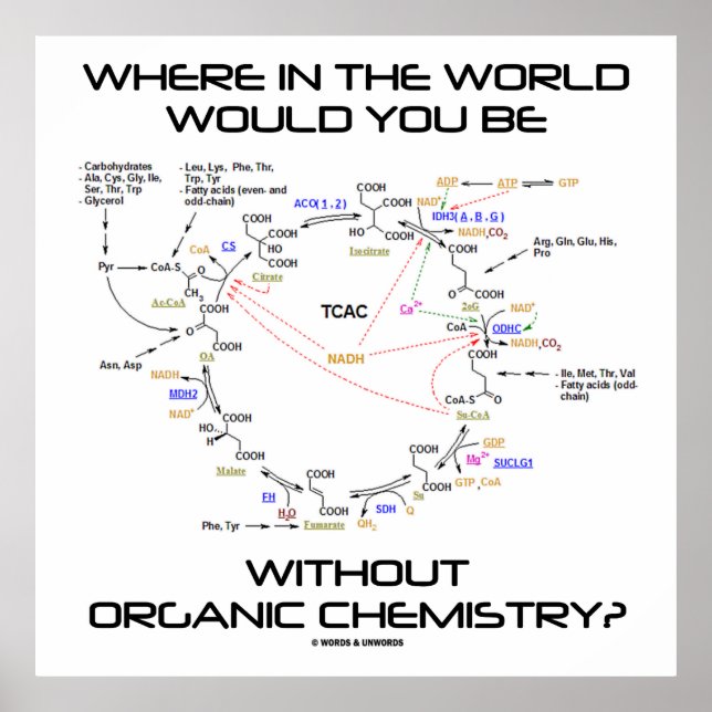 Wo in der Welt Sie ohne Bio Chemie? Poster (Vorne)