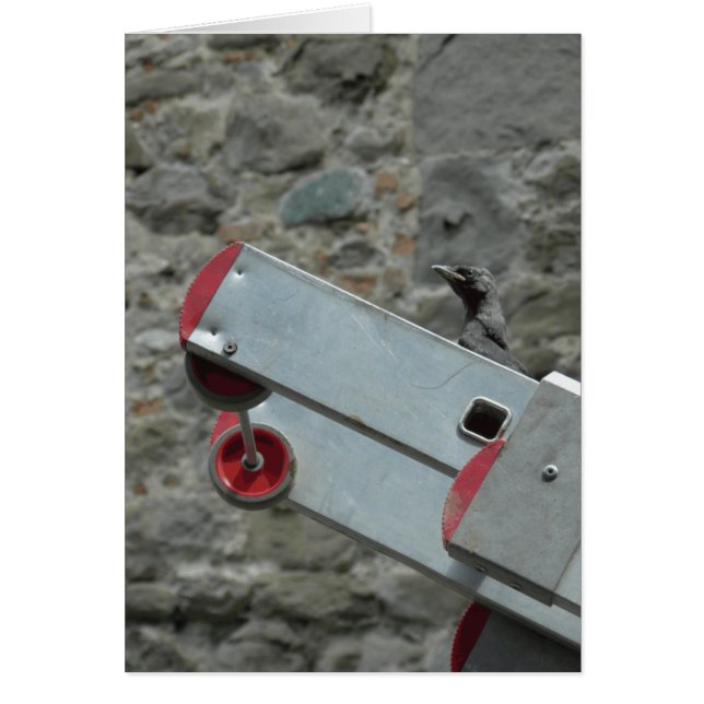 Wo ist das Feuer? (Vorne)