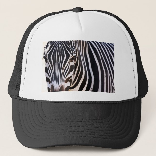 Wo ist der Zebra? Truckerkappe (Vorderseite)