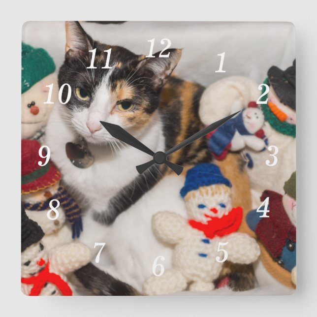 Wo ist die Cat Wall Uhr? Quadratische Wanduhr (Vorderseite)