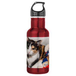 Wo ist die katzenrostfreie Stahlflasche? Edelstahlflasche