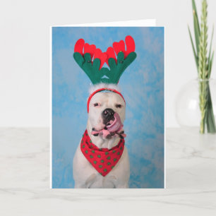 Wo ist mein Eierpunsch? Feiertagskarte