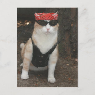 Wo ist mein Hund? Postkarte