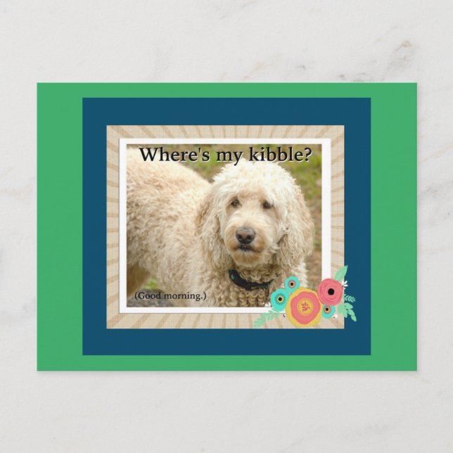 Wo ist meine Kibble, Gute Morgenpost-Karte? Postkarte (Vorderseite)