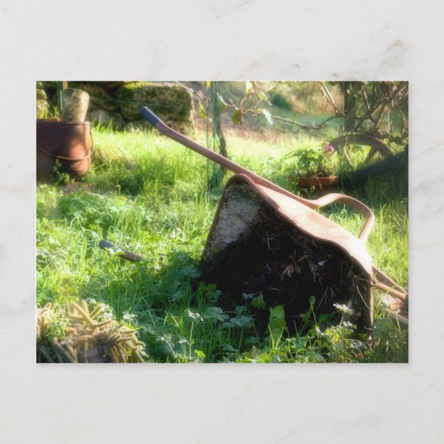 Wo ist Peter Rabbit? Postkarte (Vorderseite)