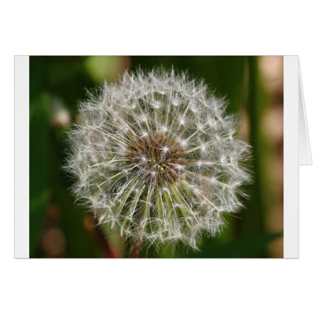 Wo jemals der Wind bläst (Vorderseite (Horizontal))