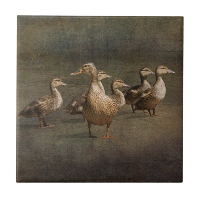 Wo jetzt? fliese (Vorderseite)