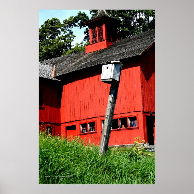 Wo Meadowlarks vertikale Galerie drucken Poster (Vorne)