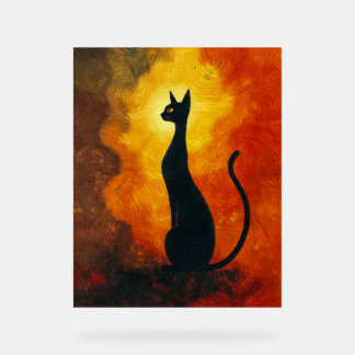Wo Neugier auf das Universum trifft. Acrylschild