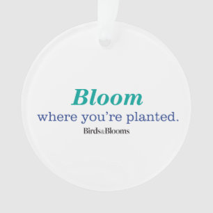 Wo Sie gepflanzt werden Ornament