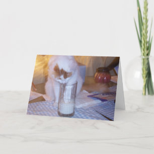 "WO" SIND DIE ORGANE? FEIERTAGSKARTE