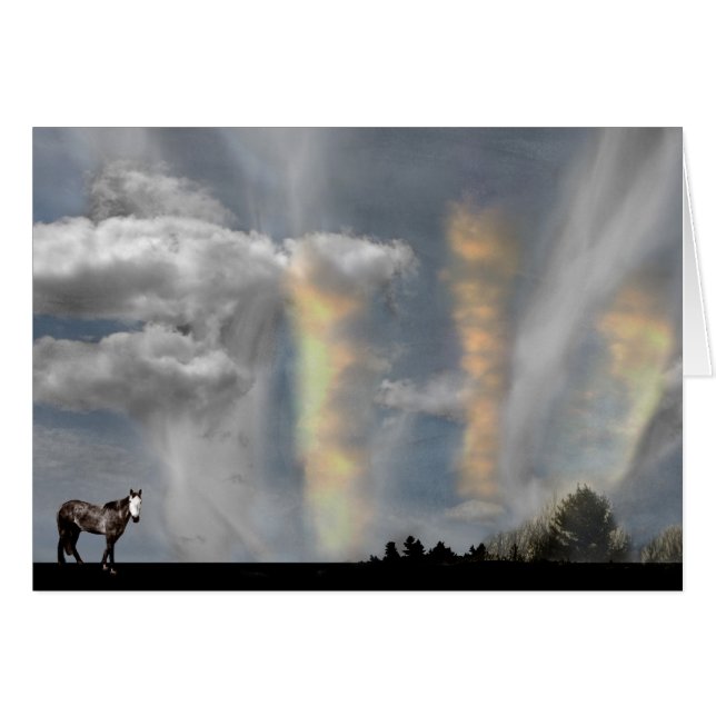 Wo Spirituosen ihre Karte ablegen (Vorderseite (Horizontal))