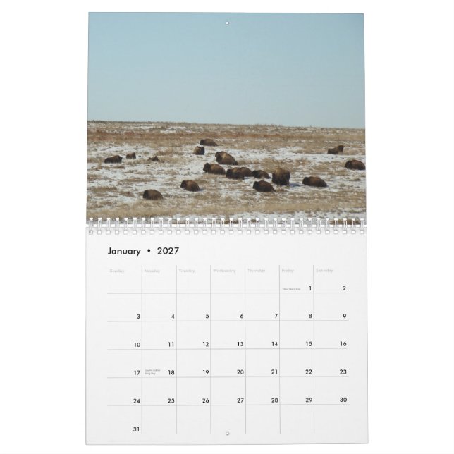 Wo theBuffalo durchstreifen Kalender (Jan 2027)