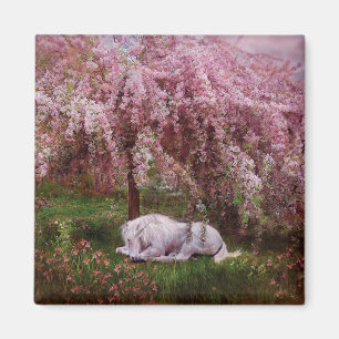 Wo Traumdie kunst-Magnet des Einhorns Magnet
