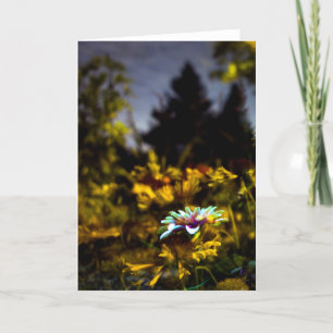 wo Träume kommen können Karte