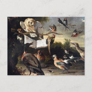 Wo Vogel-Lieder herkommen Postkarte