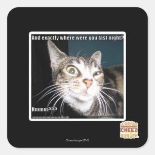 Wo warst du? quadratischer aufkleber
