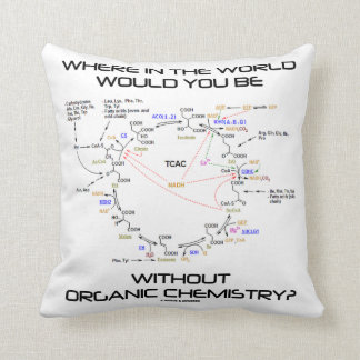 Wo würden Sie Bio Chemie sein? Kissen