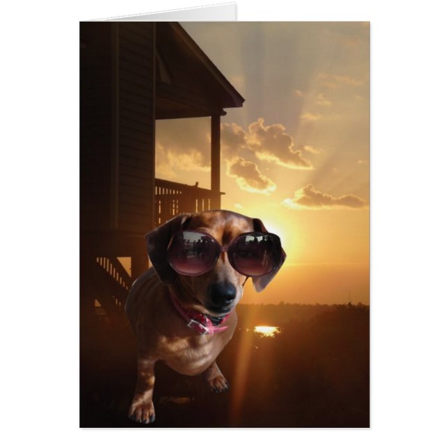 "Woah, diese Sonne ist hell", sagte Baxter. (Vorne)