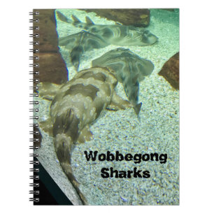 Wobbegong-Haie Notizblock