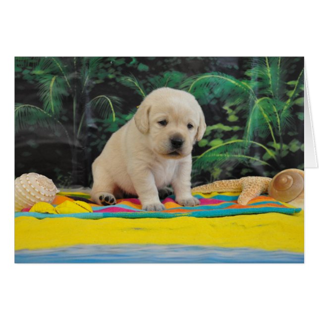 Woche 2 Leigh Ann (Vorderseite (Horizontal))