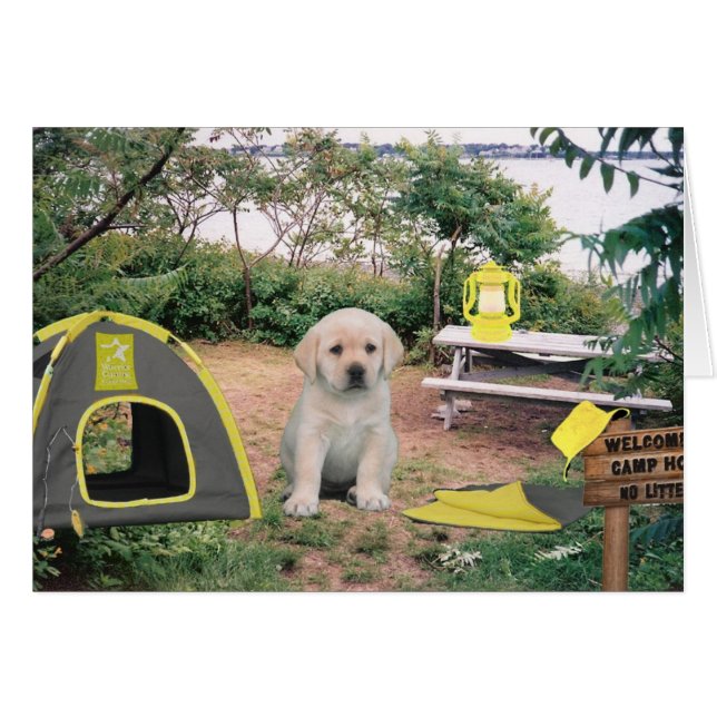 Woche 6 Leigh Ann (Vorderseite (Horizontal))