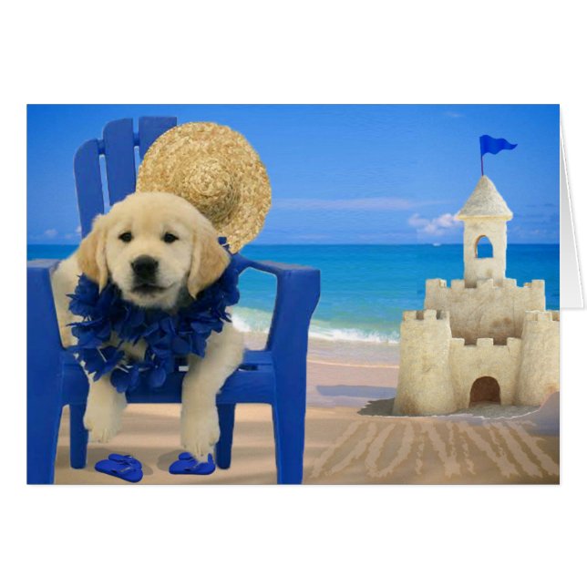 Woche 8 - Strand Donnie (Vorderseite (Horizontal))