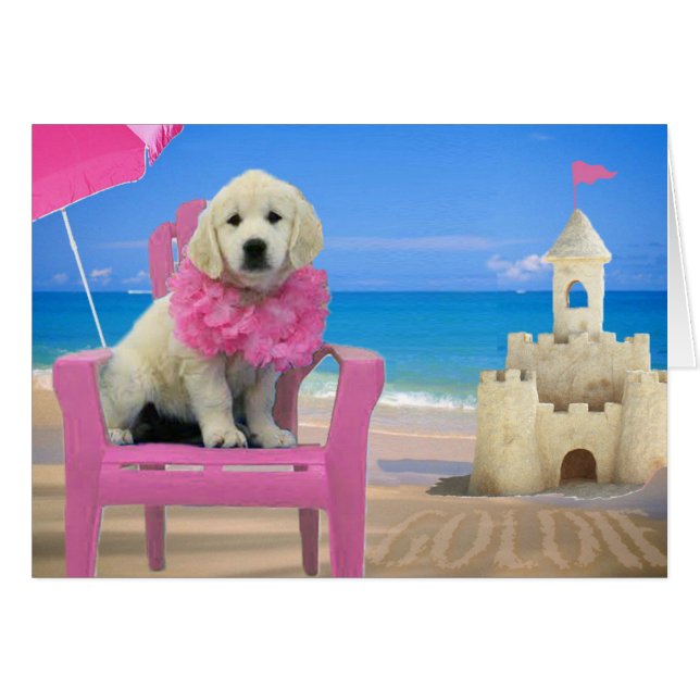 Woche 8 - Strand Goldie (Vorderseite (Horizontal))