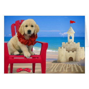 Woche 8 - Strand Murphy