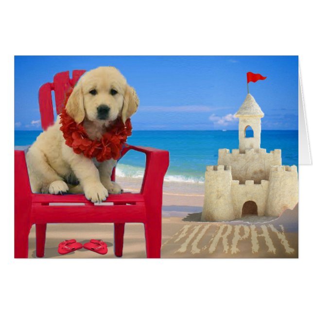 Woche 8 - Strand Murphy (Vorderseite (Horizontal))