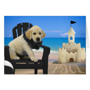 Woche 8 - Strand Paul