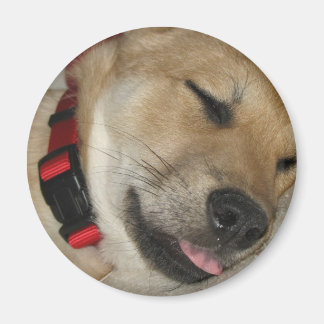 Wochenende Dexter Bebe Magnet