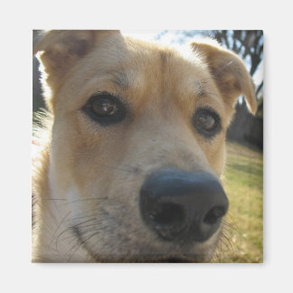 Wochenende Dexter Magnet