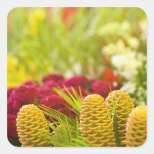 Wochenmarkt für Obst und Gemüse. Quadratischer Aufkleber