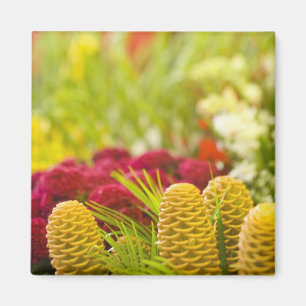 Wöchentlicher Freitag Obst- und Gemüsemarkt. Magnet