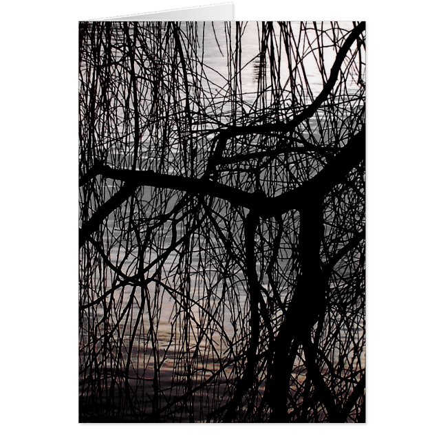 WOCHENWILLOW TREE Card (Vorne)